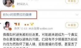 娱乐吃瓜酱副业,揭秘明星幕后故事，副业收入惊人揭秘